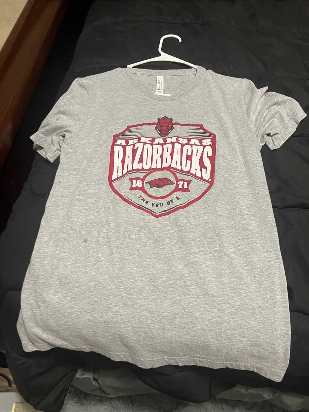 Arkansas Razorbacks Gray Graphic T-Shirt